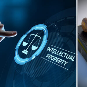 Master IP Litigation: Learn How to Identify Infringement and Protect IP Quickly, Quantify Damages, and Prove Irreparable Harm